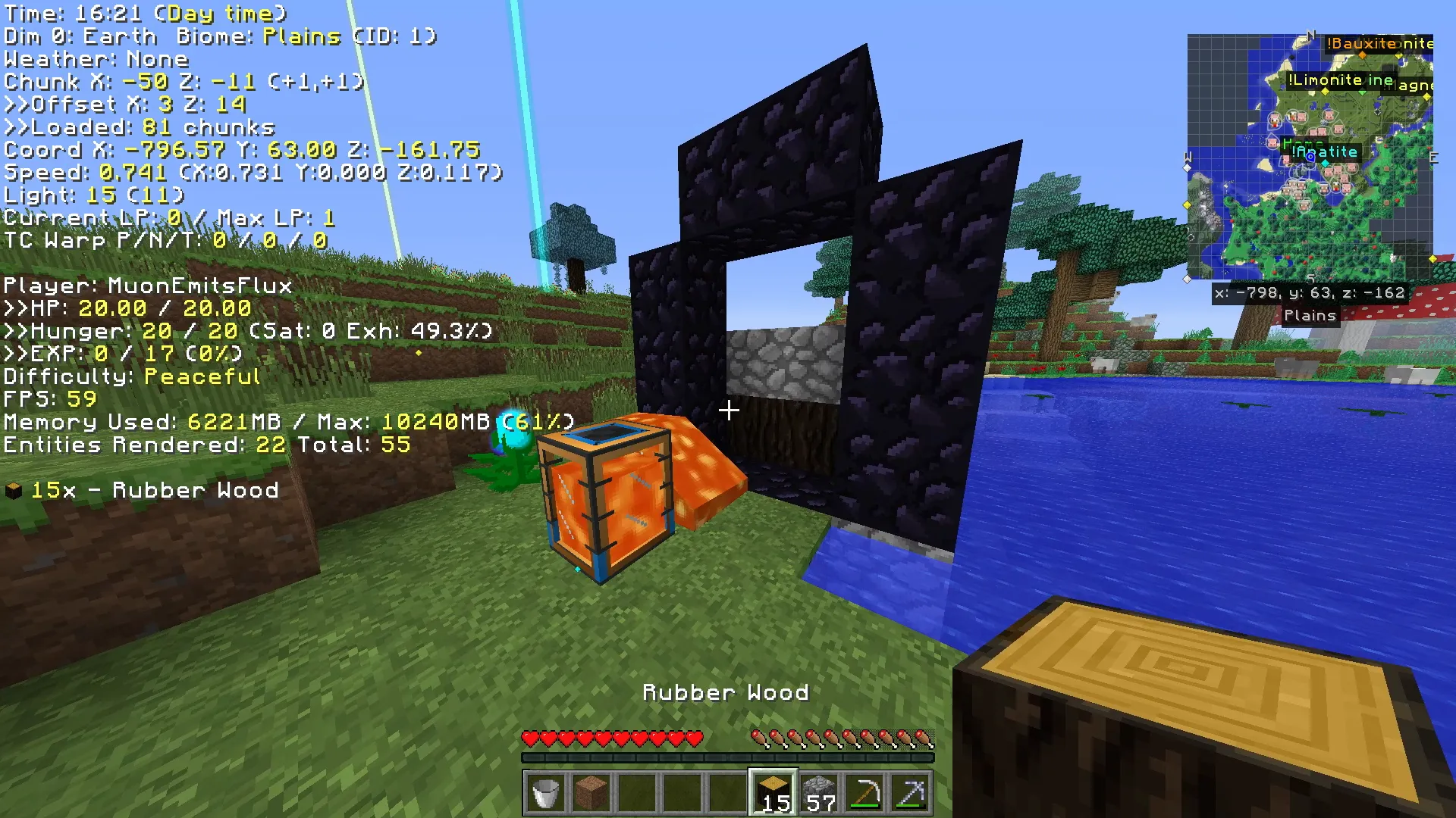 Nether Gate
